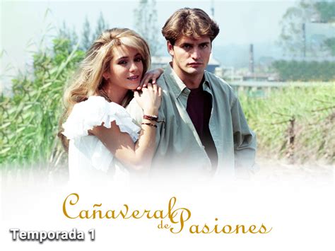 cañaveral de pasiones|canaveral de pasiones full episodes.